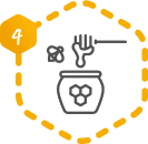 icon-honey-collection