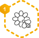 icon-nectar-poduction