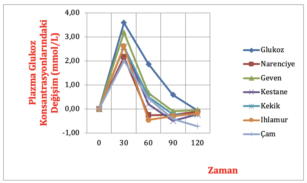 sibel-silici-bal-4-1024x609